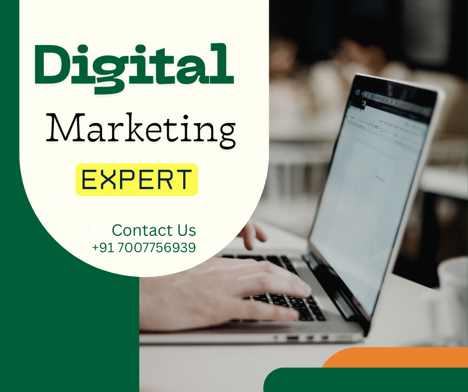 digital marketing consultant